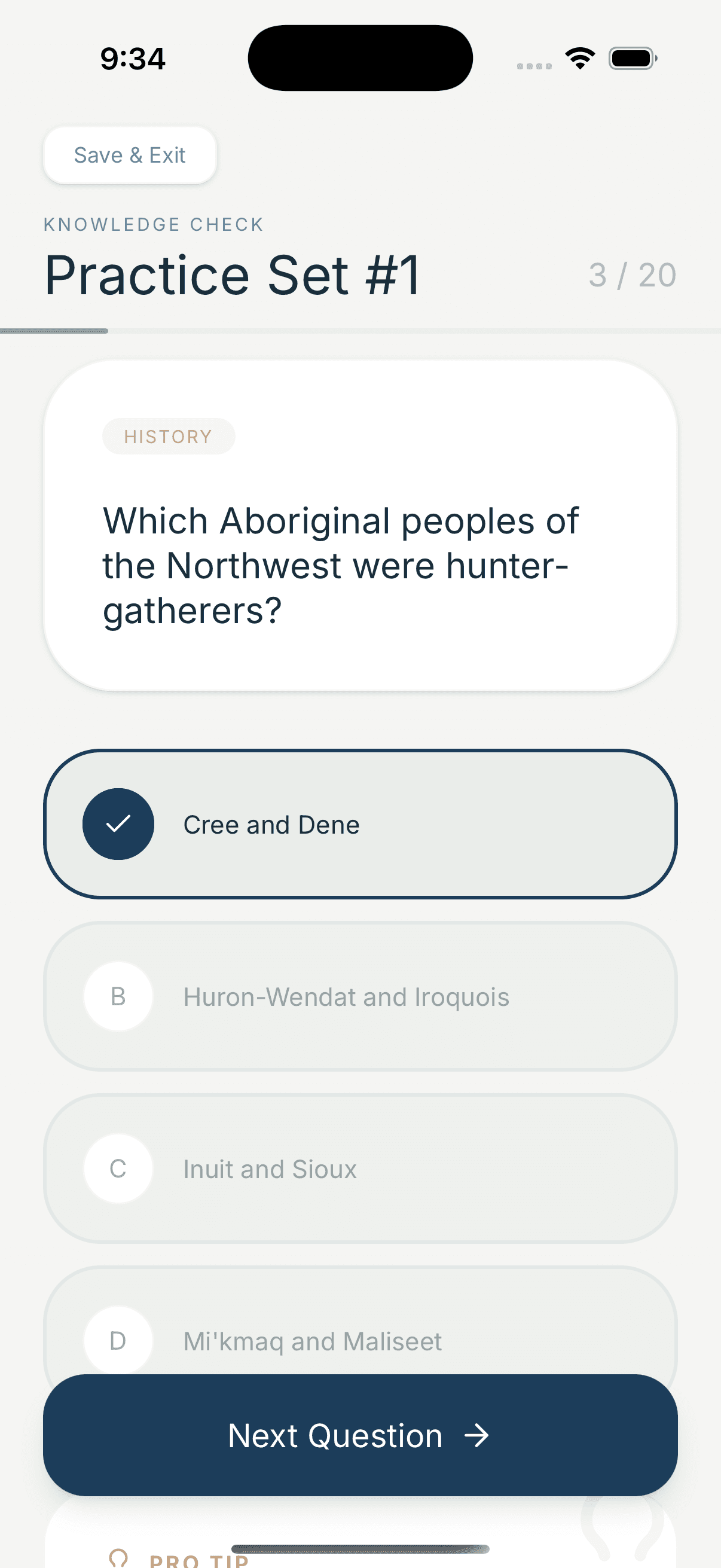 Interactive quiz interface on a mobile phone with multiple choice options and a soft progress track at the top